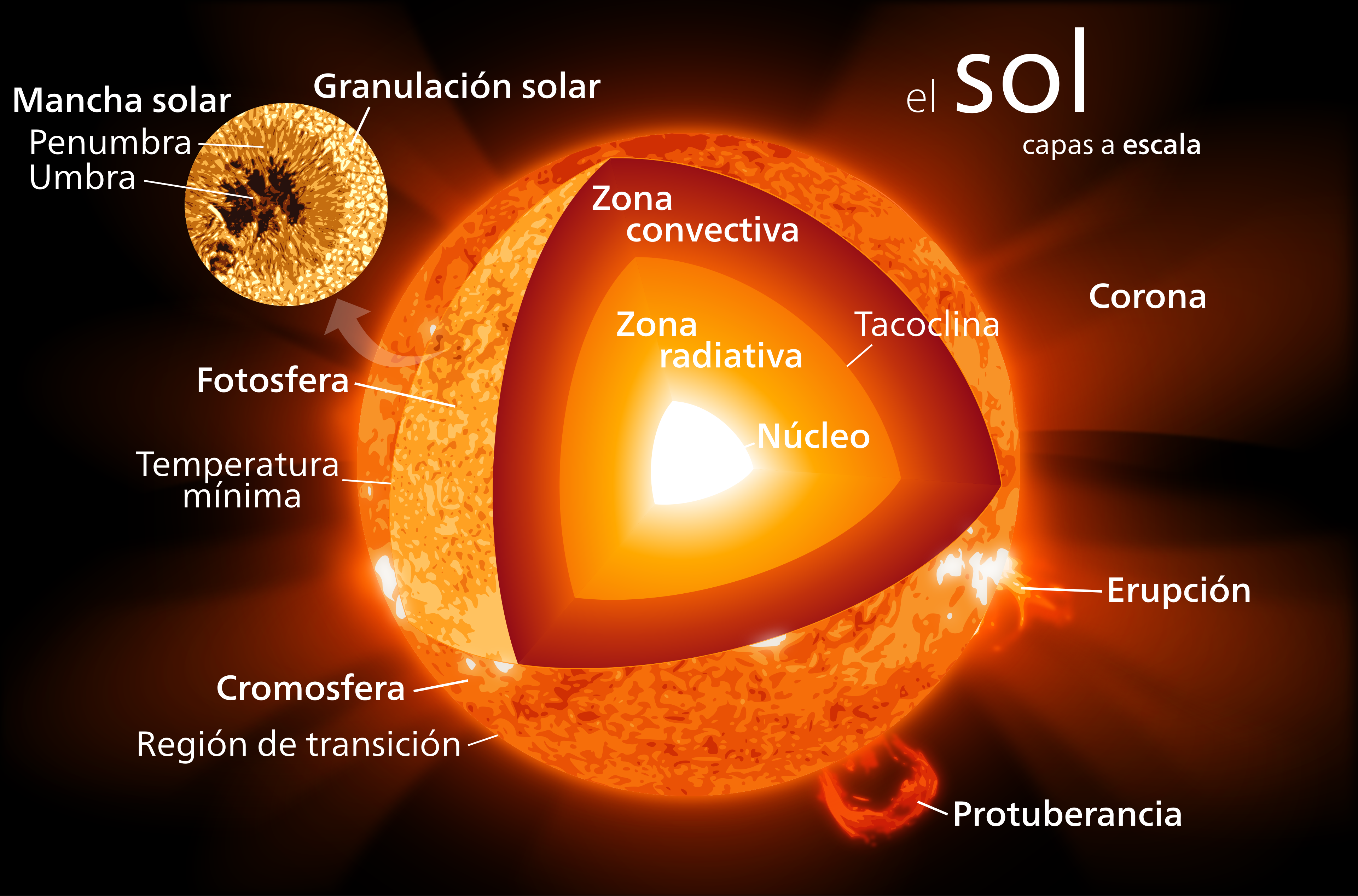 Estructura del Sol