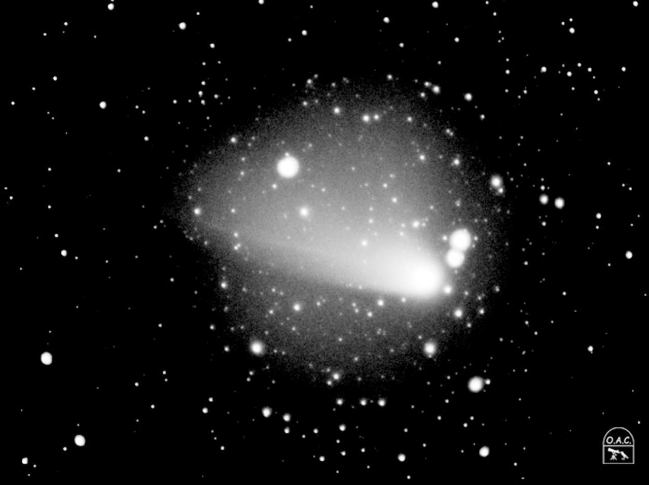 Q4 Neat Comet