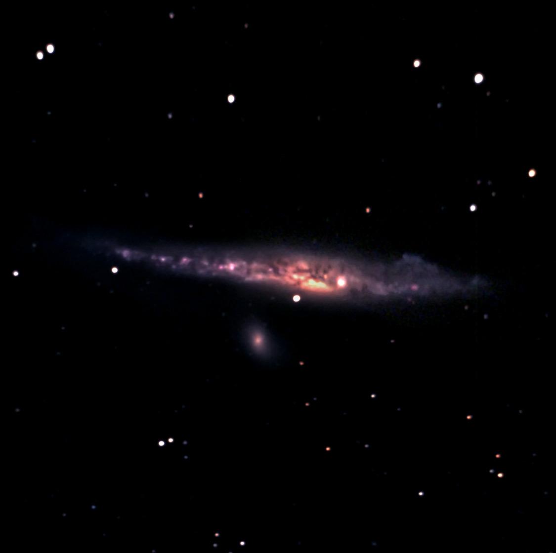 BIA_0095
