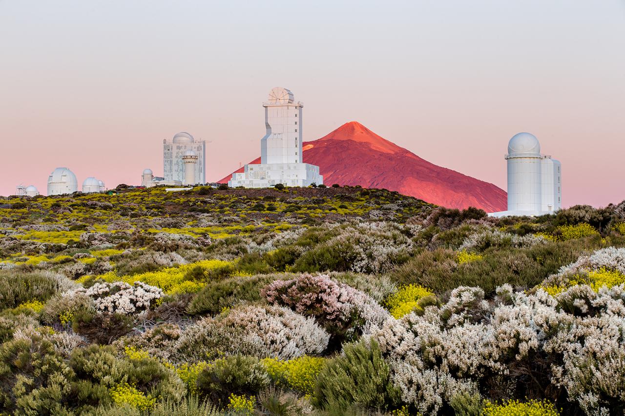 Primavera en el Observatorio del Teide (Tenerife)