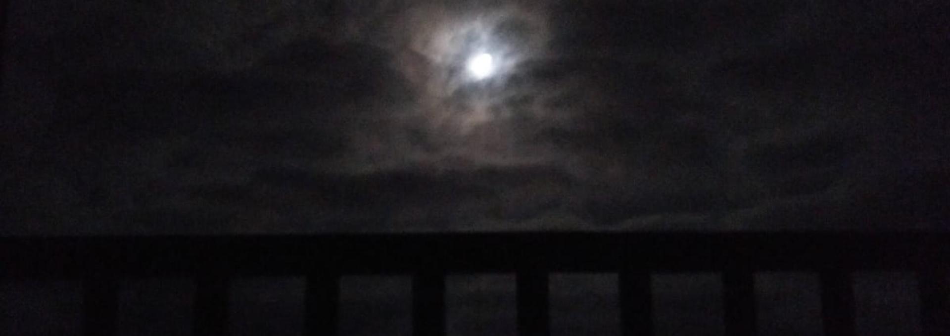 Crédito: Naomi Pérez