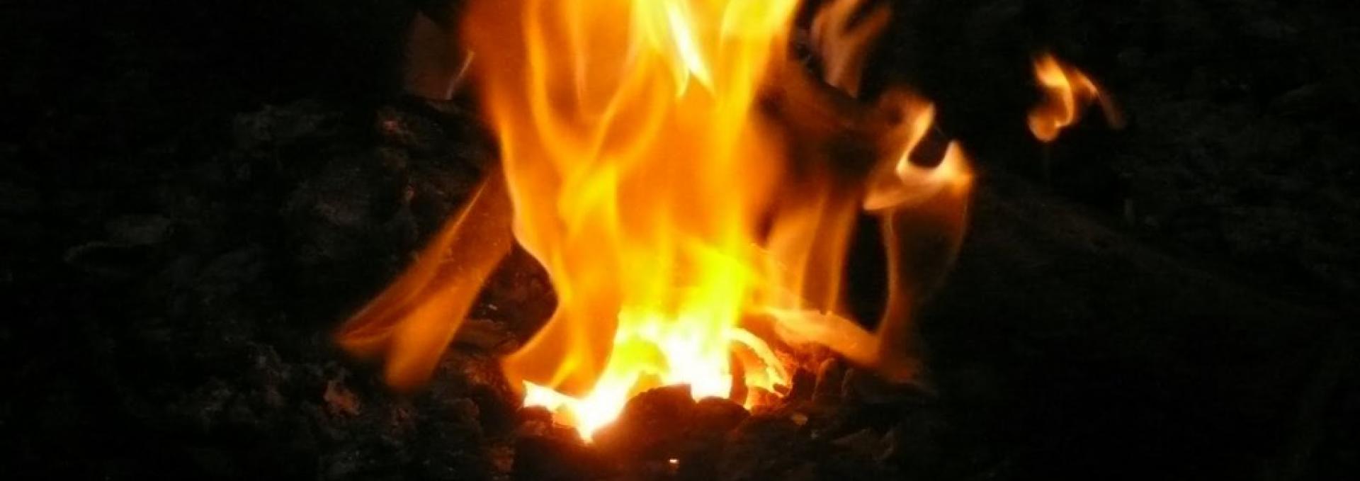 Foto: Carmen del Puerto.