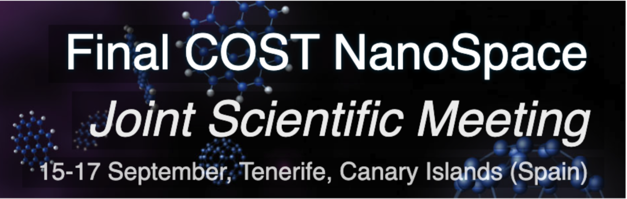 Final COST NanoSpace Joint Scientific Meeting