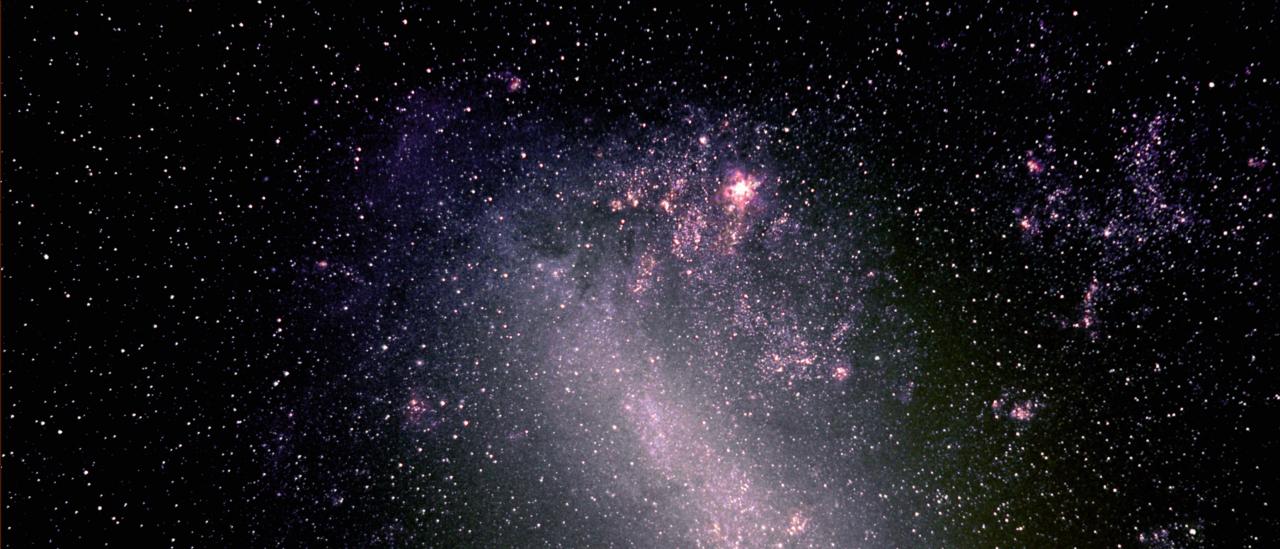 The Large Magellanic Cloud