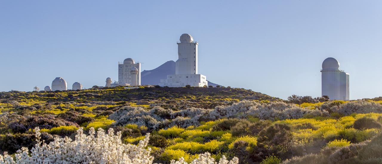 Primavera en el Observatorio del Teide (Tenerife)