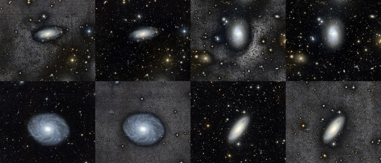 Milky Way-like galaxies from the BEARD project