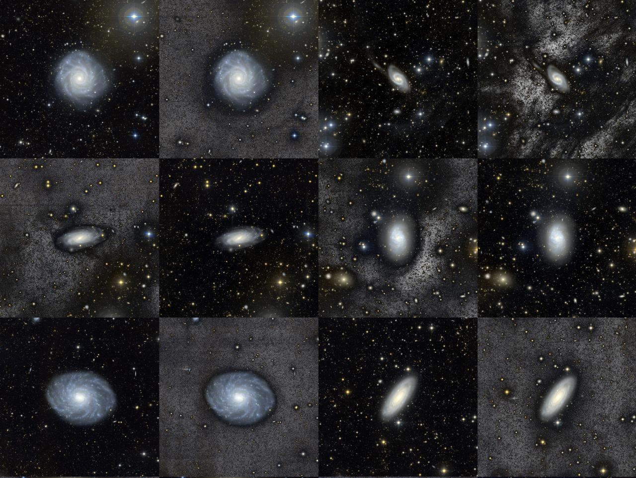 BEARD_paperI_carlosmarrero