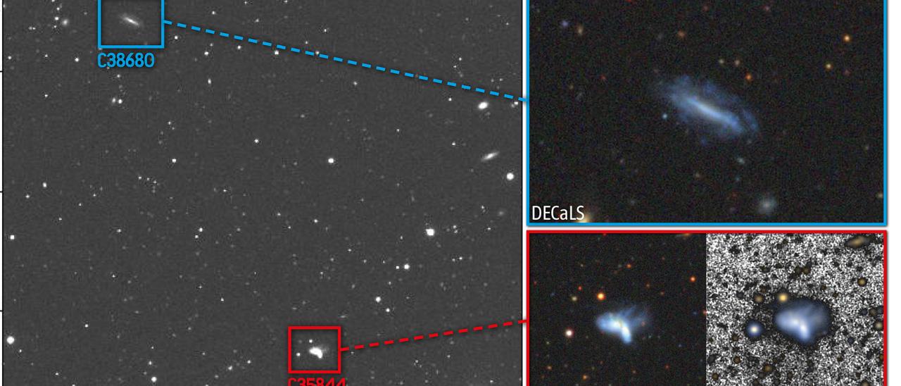 Rare pair of interacting dwarf galaxies observed by the CAVITY project