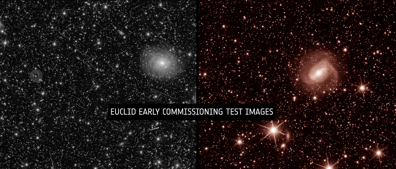 Euclid first images