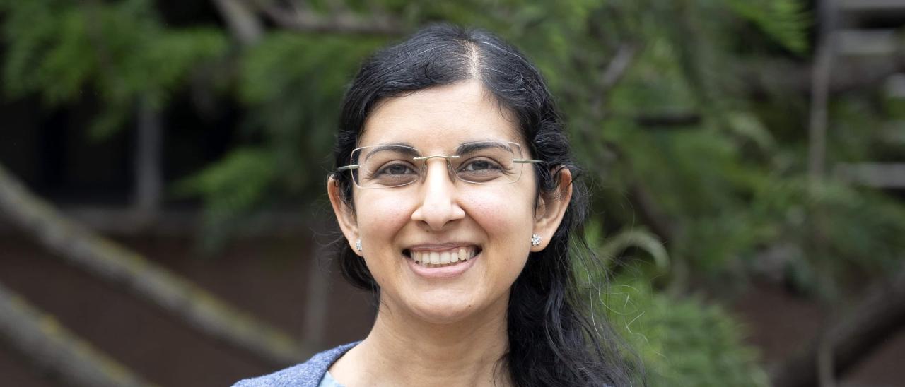 Savita Mathur, investigadora del Instituto de Astrofísica de Canarias y responsable del proyecto MELODY, reconocido con una ERC Advanced Grant.