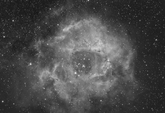Rosette Nebula