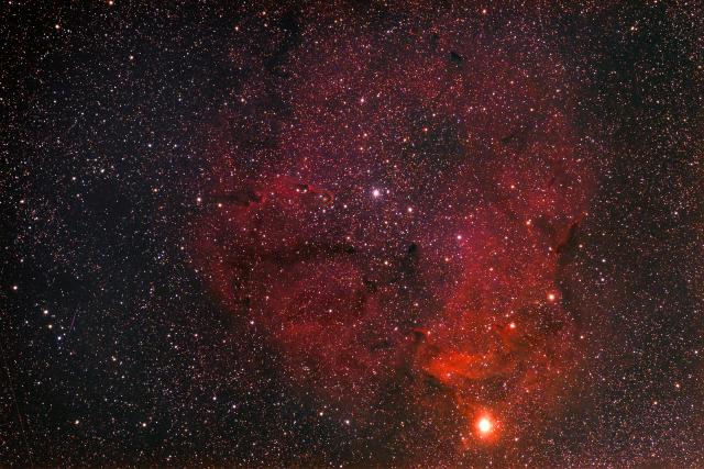 IC 1396 and the Elephant Trunk nebula