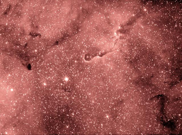 IC 1396 y la nebulosa Trompa de Elefante