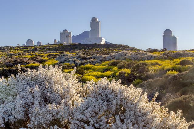 Primavera en el Observatorio del Teide (Tenerife)
