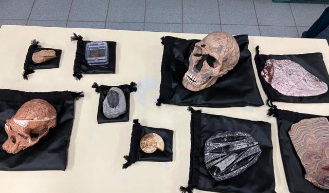 IES Pérez Minik 04 