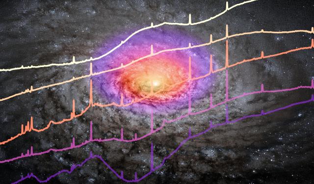 Infrared spectra of the central region of five quasars observed with JWST