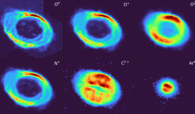 Individual WEAVE LIFU emission-line images of the Ring Nebula