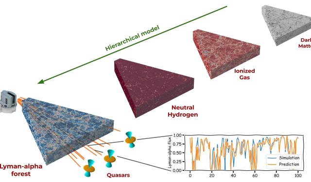 Hierarchical model of the constituents of the Universe