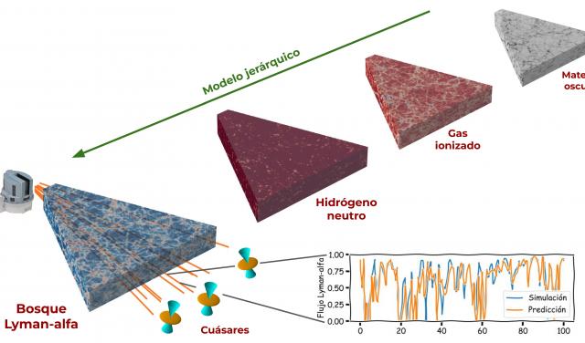 Hierarchical model of the constituents of the Universe