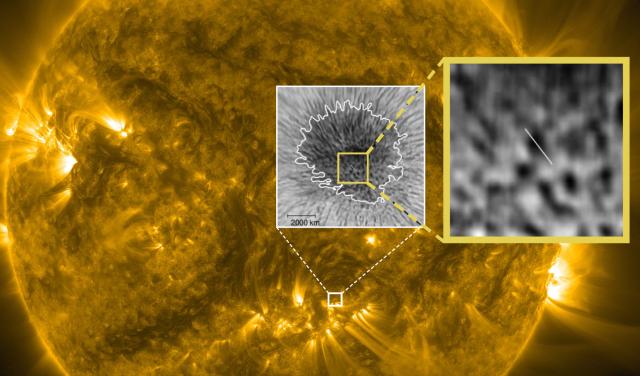 Magnetic waves in sunspot