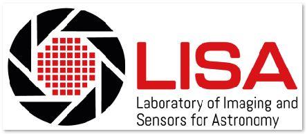 LISA logo