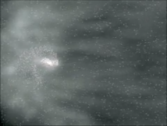 The Leonids Impact the Moon