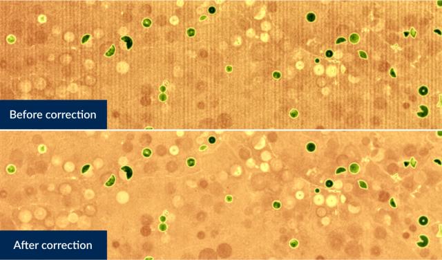 Vegetation moisture maps taken by space camera based on uncooled InGaAs technology