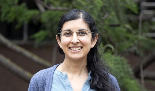 Savita Mathur, investigadora del Instituto de Astrofísica de Canarias y responsable del proyecto MELODY, reconocido con una ERC Advanced Grant.