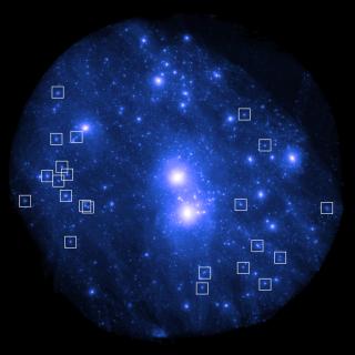 Dark galaxies in the Local Group