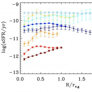 Perfiles radiales de la tasa de formación de estrellas en nuestra muestra de ETG. Perfiles radiales de la tasa de formación de estrellas (por unidad de masa) para los bulbos (colores rojizos) y los discos (colores azulados) en nuestra muestra de ETG. Los diferentes perfiles representan la distribución promedio de la tasa de formación estelar específica para los bulbos y discos dentro de cuatro rangos de masa diferentes. Los perfiles radiales promediados se han normalizado al radio efectivo de la galaxia.