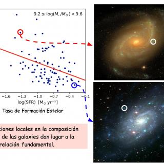 Las variaciones locales en la composición química de las galaxias dan lugar a la relación fundamental La anti-correlación entre la cantidad de metales y la tasa de formación de estrellas al comparar galaxias con una masa estelar similar. Se muestran galaxias con más (imagen inferior) y menos (imagen superior) regiones de formación estelar (los grupos azules).
