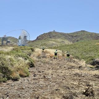 EIRIF technicians cut the brush to create an fire barrier in the close surroundings of the Roque de Los Muchachos Observatory on La Palma EIRIF technicians cut the brush to create an fire barrier in the close surroundings of the Roque de Los Muchachos Observatory on La Palma