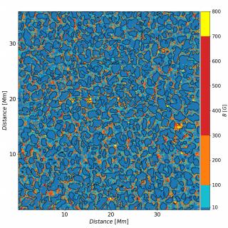 Average magnetic field of the quiet Sun Average magnetic field of the quiet Sun as inferred from the observational data. Black contours display the frontier between granules and intergranules (i.e., Ic = 1.0, where Ic is the continuum intensity). The magnetic field strength color bar has been clipped at 800 G.