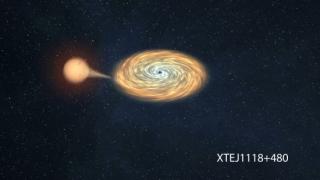 In this picture the binary system XTE J1118+480 is depicted, with the companion star falling to the black hole. Credit: Gabriel Pérez (SMM-IAC) In this picture the binary system XTE J1118+480 is depicted, with the companion star falling to the black hole. Credit: Gabriel Pérez (SMM-IAC)