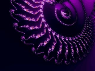 Fractal 7899