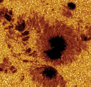 Las manchas solares sólo son regiones más frías que se aprecian más oscuras. Foto: IAC 7867