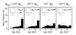 Variation of the star formation history with respect to dynamical mass (each panel representing a mass bin as given in Table 2). Sketchy (theoretical) SFHs, plotted as grey Gaussian curves, are superimposed over the detailed (empirical) SFH histograms (bl
